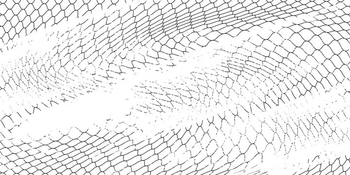 Black snake skin pattern isolated on white background eps 10