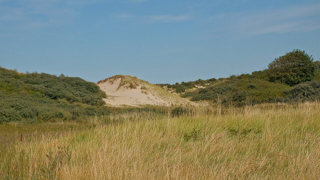sandy dune landscap on a sunny summer day in Knokke, Flanders, Belgium 