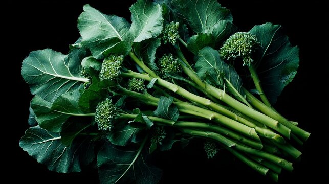 A bunch of fresh green broccoli on a black background