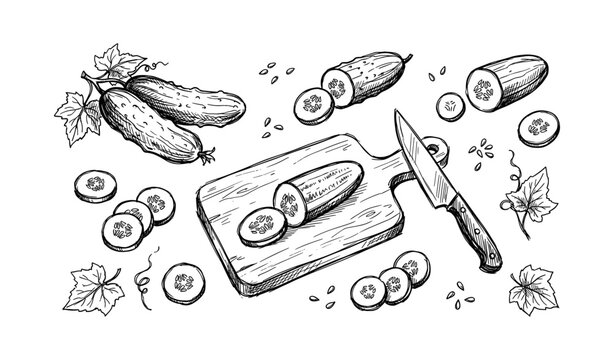 Hand-drawn cucumber sketch on cutting board with knife and vine leaves