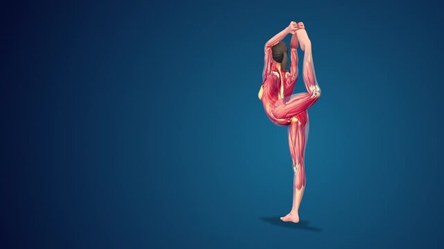 3D human Natarajasana or King of the Dancers yoga pose on blue background, loopable