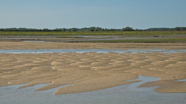 Sandy tidal flats with shallow water pools in het Zwin nature reserve in Knokke, Flanders, Belgium 