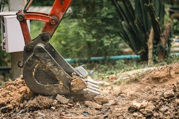 Excavator construction machinery dig earth soil bucket metal outdoor work lineated barbet bird watch worker feed cable near nest and chick safe from vibration and dust during excavation activity © chokniti