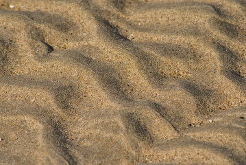 Fototapeta premium r ippling patterns created by movement of water and wind in the sand of the beach 
