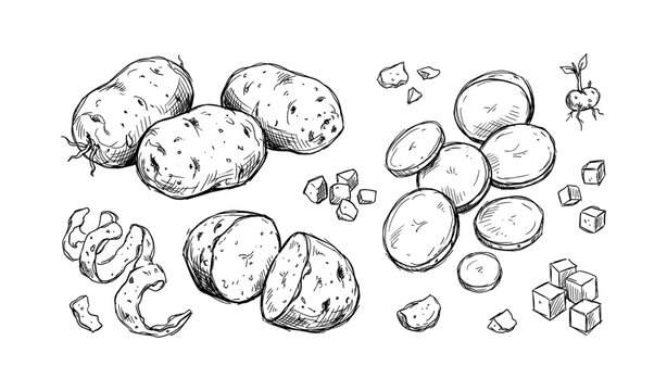 Hand-drawn potato sketches with slices, cubes, and peels in black and white