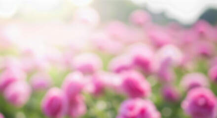Obraz premium beautiful abstract blurred background soft pink flowers green leaves bright sunlight bokeh effect spring summer nature garden floral texture backdrop romantic gentle beauty concept