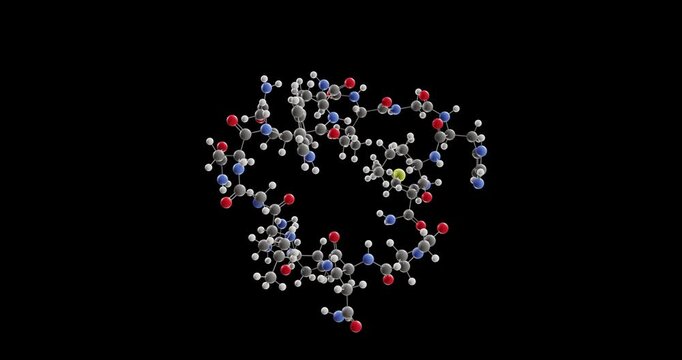 Bombesin molecule, rotating 3D model of peptide hormone, looped video on a black background
