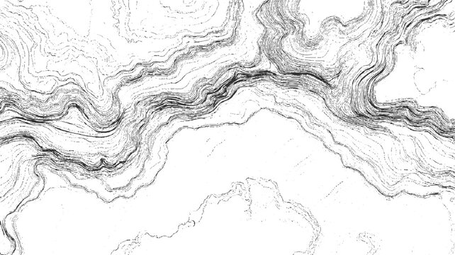 Black and white abstract topographic contour lines forming a dense pattern