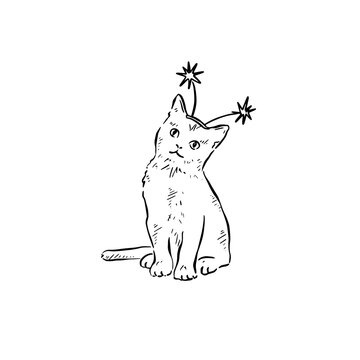 Kitten sitting down with teeny boppers on head. A nineties themed head decoration.