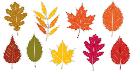 Fototapeta premium Colorful autumn leaves isolated on a transparent background