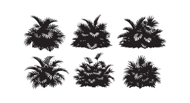 Six different types of palm trees silhouette against a white background
