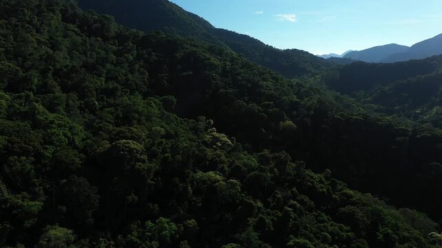 Aerial view of a dense tropical mountain forest at sunset with deep shadows and golden light on the canopy