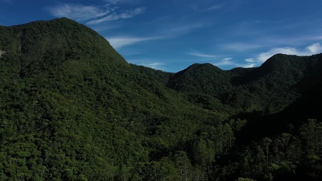 Aerial view of a dense tropical mountain forest at sunset with deep shadows and golden light on the canopy