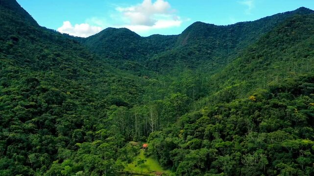Aerial view of a dense tropical mountain forest at sunset with deep shadows and golden light on the canopy