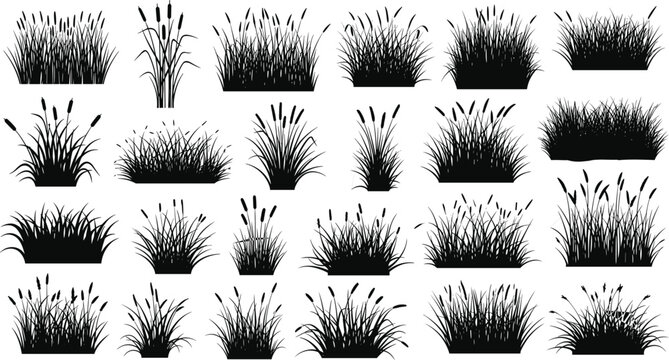 Large collection of black grass and cattail silhouettes featuring various meadow plants and wetland reeds isolated on white background for nature landscape design projects.