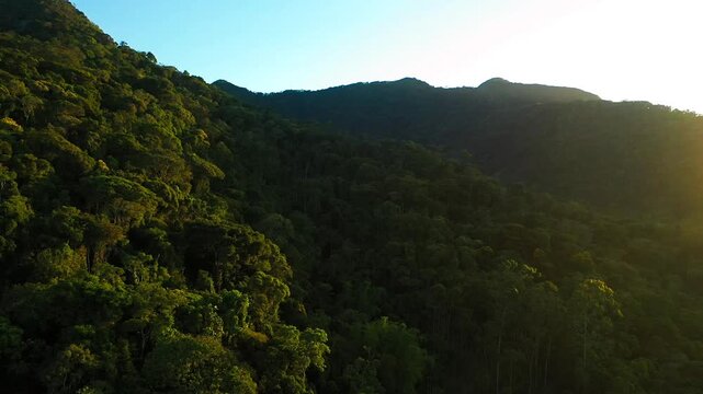 Aerial view of a dense tropical mountain forest at sunset with deep shadows and golden light on the canopy