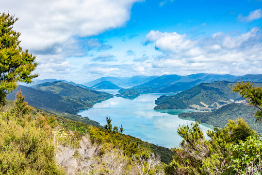 Queen Charlotte Track