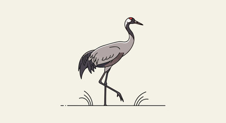 Fototapeta premium Elegant grey crane with red head marking walks gracefully in light grass