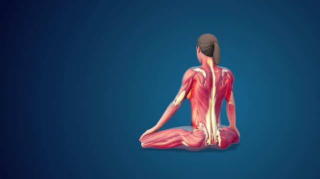 3D human Siddhasana or Adept&rsquo;s yoga Pose on blue background, loopable (normal hand)