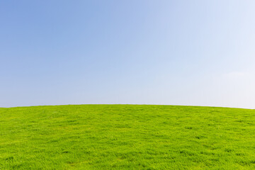 Obraz premium Summer Clear Sky Blue Sky Grassland Material