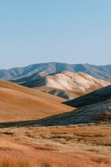 Obraz premium Golden rolling hills with pale limestone ridge layered against distant blue mountains and dry grass foreground under clear sky and soft sunlight