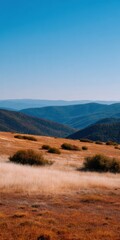 Fototapeta premium Dry golden grassland with scattered shrubs and layered blue hills stretching to the horizon under a clear sky