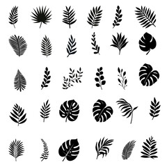 set tropical leaves. Tropical leaves vector. Set of palm leaves silhouettes isolated on white background. Vector illustration © MR.AK