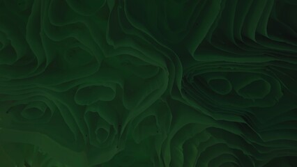 Obraz premium Abstract dark green topographic waves forming organic fluid patterns and textures