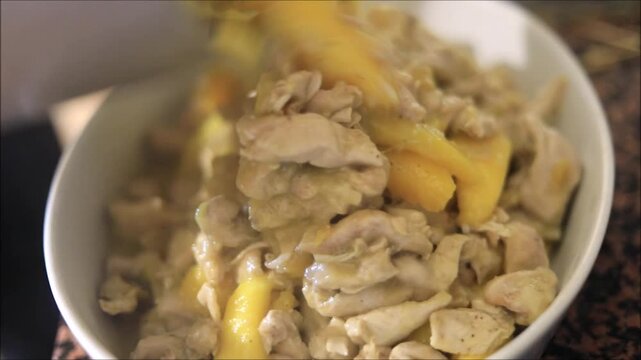 Tender chicken pieces mixed with sweet mango slices in a creamy sauce