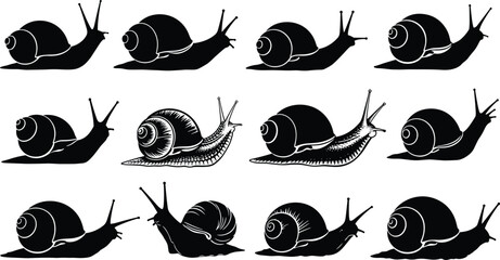Snail silhouette collection vector illustration, garden mollusk icons set, crawling snail designs, nature wildlife elements, black snail shapes isolated on white background © MstBeauti