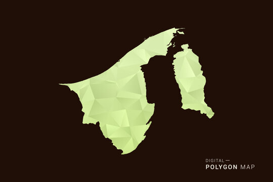 Brunei Map - Low poly polygon map in soft light green gradient on dark brown background, modern minimal geometric style, clean abstract vector illustration design.