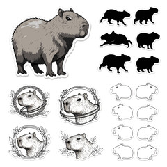 Fototapeta premium Capybara Animal Wildlife Illustration Collection Featuring Various Stylized Designs Silhouettes and Detailed Portraits