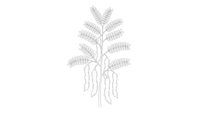 Detailed Illustration of a Fern Plant.