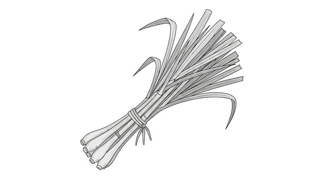 Bundle of sharp metal fishing hooks.