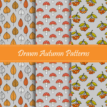 autumn patterns set crvs