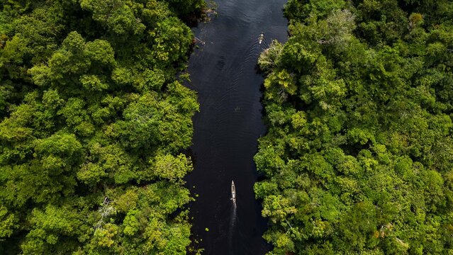 High-resolution aerial view of the Amazon rainforest near Iquitos, with its dense tropical vegetation, vibrant green, and a river that runs through the lush Amazon landscape