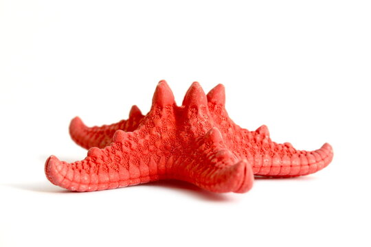 There is a red starfish lying on a white isolated background.