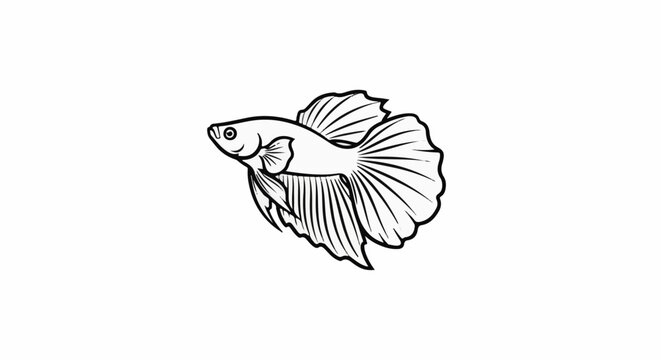 Striking black and white illustration of a male Betta fish