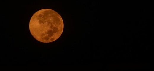 Obraz premium Supermoon in center of image. Luminous orange moon with ethereal glow against pitch black sky. Photograph of an full moon in a dark sky. Image taken with a mobile phone lens with maximum zoom. 