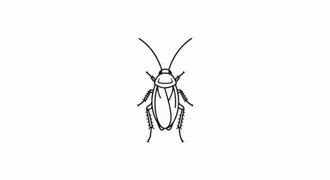 Simple line art illustration of a cockroach from above