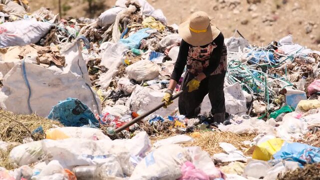 A worker collecting garbage in an open landfill area. Realistic scene highlighting environmental pollution, recycling, sustainability, and human labor in a natural environment.