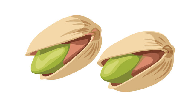 Two roasted pistachio nuts in their open shells revealing vibrant green kernels, illustrated in a clean style on a white background.