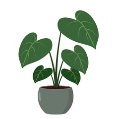 Stylized philodendron plant in a decorative pot illustration © panadesignteam