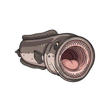 Cartoon illustration of a parasitic lamprey fish with a wide open mouth full of sharp teeth