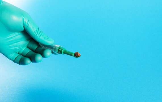 A laboratory technician's hand in a green glove holding a stool sample tube against a blue background. Concept of fecal zonulin and helminth testing using PCR. Copy space for text, gastroenterology