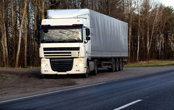 White semi-truck DAF XF with gray curtainside trailer parked on dirt shoulder alongside asphalt highway by bare deciduous forest at dusk or dawn