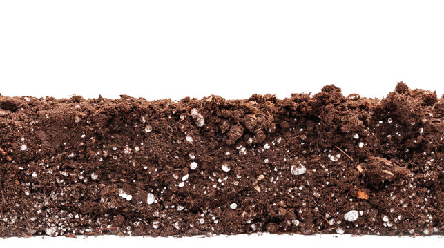 Thick horizontal layer of rich dark brown organic potting soil with perlite pebbles and earthy textures isolated on transparent background