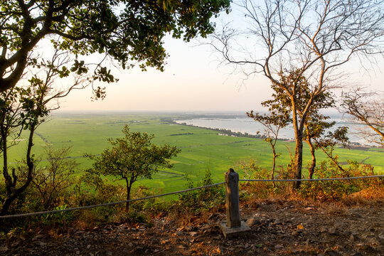 View of vibrant green fields stretching towards the horizon under a soft sky, framed by trees in Phnom Krom, Siem Reap Province, Cambodia.