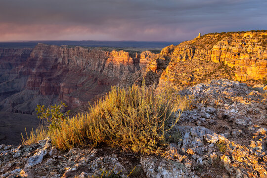 Desert sunset view with dry grass in foreground