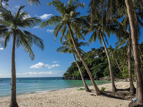 Idyllic tropical paradise on Boracay Island, Philippines, featuring swaying palm trees, pristine white sand, and crystal-clear turquoise waters. A perfect scene for relaxation and escape.
